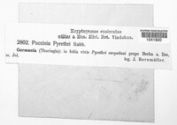 Image Associated With the Occurence